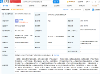 科大訊飛布局數字內容新賽道，成立科技公司拓展服務邊界